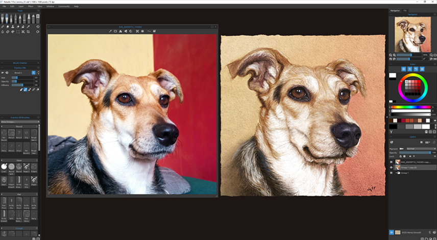 Beispiel Tierportrait 1