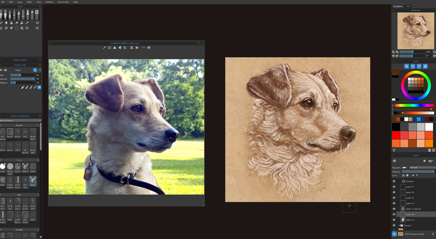 Beispiel Tierportrait 2